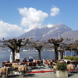Ristorante Bellagio - Tiglio Tree in Bellagio, Italy with the Alps in the background.