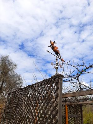 Peak Tours and Transit by null