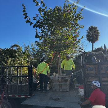Moon Valley Nurseries - Nurseries & Gardening Near Me - La Verne, California