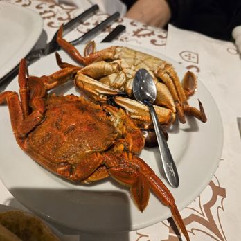 Cervejaria Ramiro - They warn you they are small in size. Sweet and tasty though - Seafood Near Me - Lisbon, 11 Cervejaria Ramiro - They warn you they are small in size. Sweet and tasty though - Seafood Near Me - Lisbon, 11