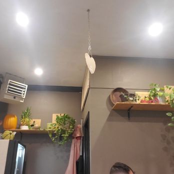 New York Pao De Queijo - Plants on the walls - Brazilian Near Me - Astoria, New York New York Pao De Queijo - Plants on the walls - Brazilian Near Me - Astoria, New York