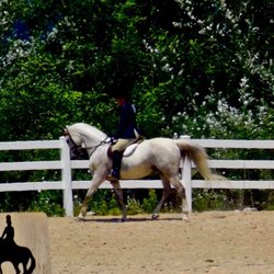 Liberty Farm Equestrian Center - Longview Charity Horse Show