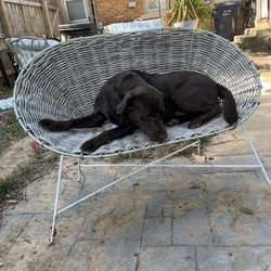 Sit Means Sit
