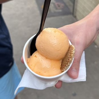 Novel Ice Cream - Cantaloupe sorbet - Ice Cream & Frozen Yogurt Near Me - Mesa, Arizona Novel Ice Cream - Cantaloupe sorbet - Ice Cream & Frozen Yogurt Near Me - Mesa, Arizona