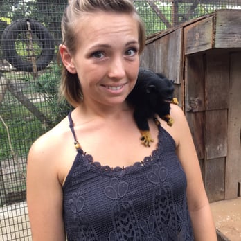 The Texas Zoo - Feeding the monkeys! - Zoos Near Me - Victoria, Texas The Texas Zoo - Feeding the monkeys! - Zoos Near Me - Victoria, Texas