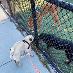 Moscone Park Playground - Hello!!!