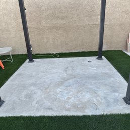 Back yard