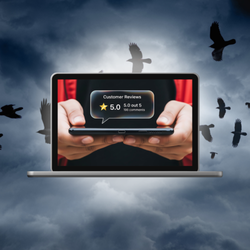Wise Raven Consulting - Grow with Google ads for home service businesses in North Carolina.