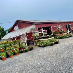 Cold Spring Brook Farm - Outside of Farm Stand Area
