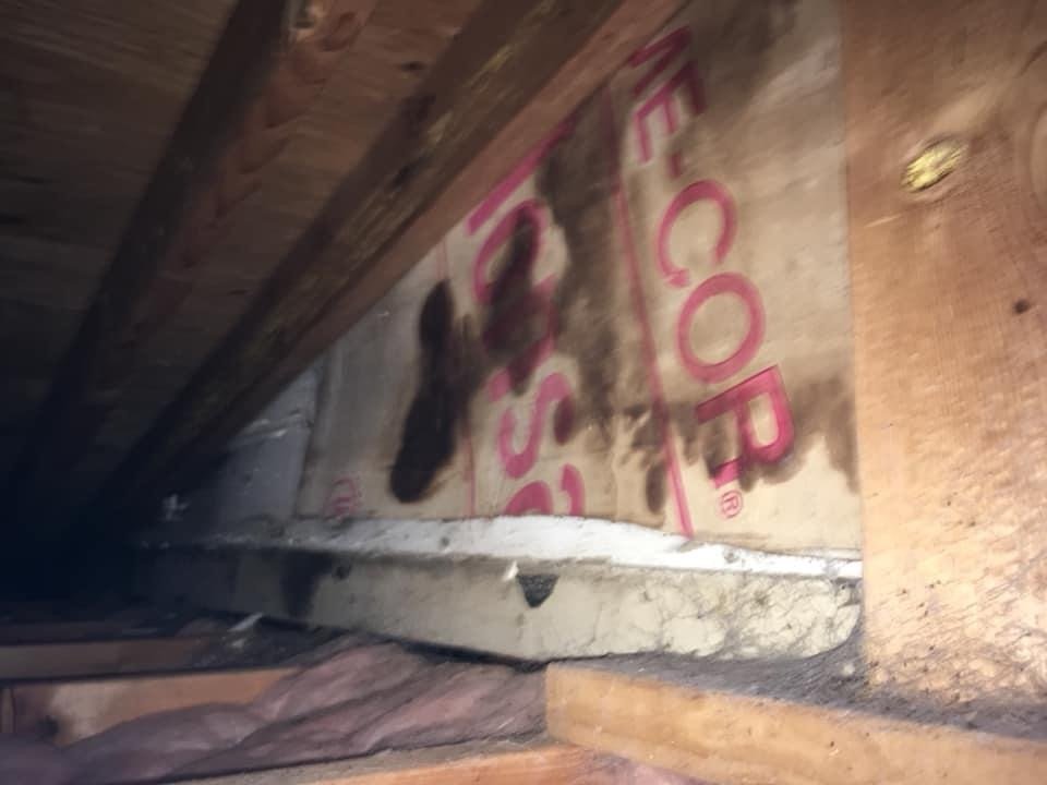 Slide of Salter's Construction