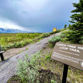 Lunch Tree Hill Loop Trail - The trailhead! - Hiking Near Me - Moran, Wyoming