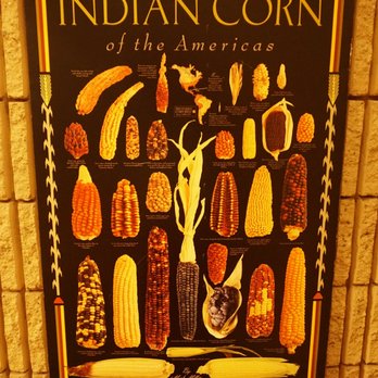 Institute For American Indian Studies - Museums Near Me - Washington, Connecticut Institute For American Indian Studies - Museums Near Me - Washington, Connecticut