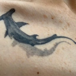 Scalloped hammerhead tattoo by Ike.
