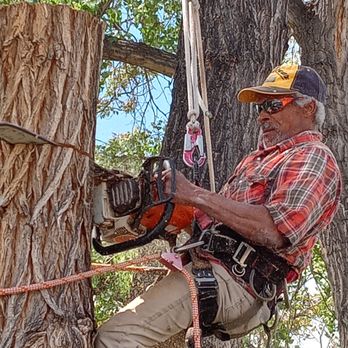 Any N All Tree Service - Tree Services Near Me - Brighton, Colorado Any N All Tree Service - Tree Services Near Me - Brighton, Colorado