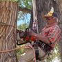 Any N All Tree Service