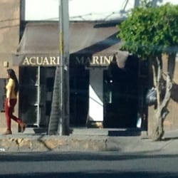 Acuario Marino
