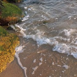 Raycroft Beach