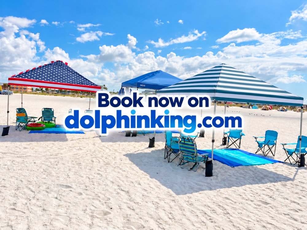 Dolphin King Logo