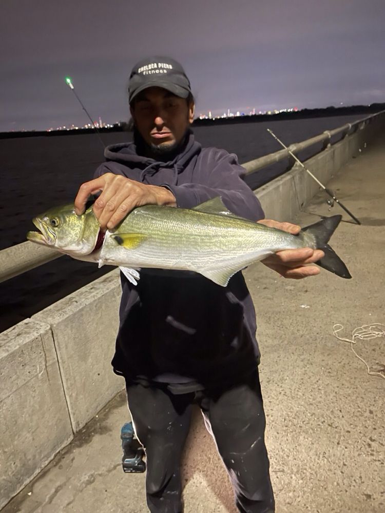 CROSSBAY BAIT ‘N’ TACKLE Updated August 2024 20 Photos 16430