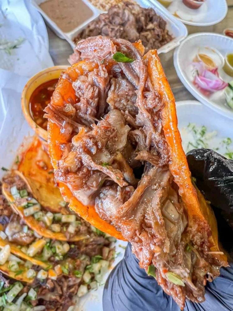 Tacos Puro Jalisco