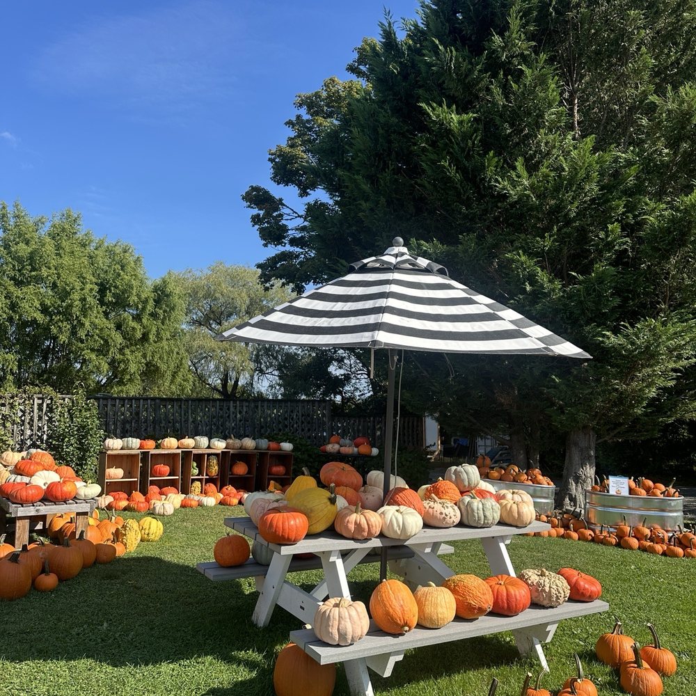 Sweet Berry Farm - Pumpkins - Fruits & Veggies Near Me - Middletown, Rhode Island Sweet Berry Farm - Pumpkins - Fruits & Veggies Near Me - Middletown, Rhode Island