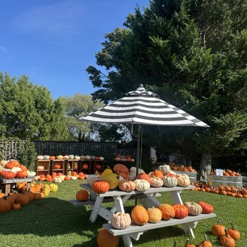 Sweet Berry Farm - Pumpkins - Fruits & Veggies Near Me - Middletown, Rhode Island