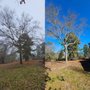 Photo of Tier One Tree Care