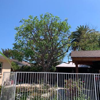 H & E Tree Service - Tree Services Near Me H & E Tree Service - Tree Services Near Me