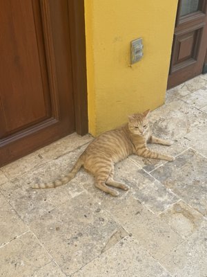 Hacienda Xcanatun, Angsana Heritage Collection by null