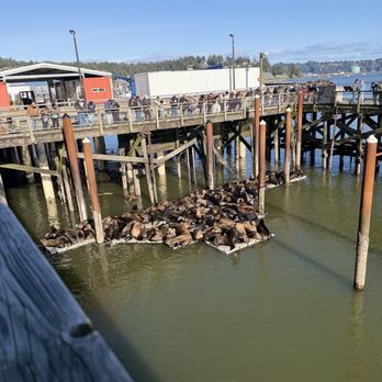 Clearwater Restaurant - New American Near Me - Newport, Oregon