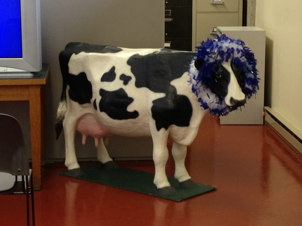 Maytag Dairy Farms Logo