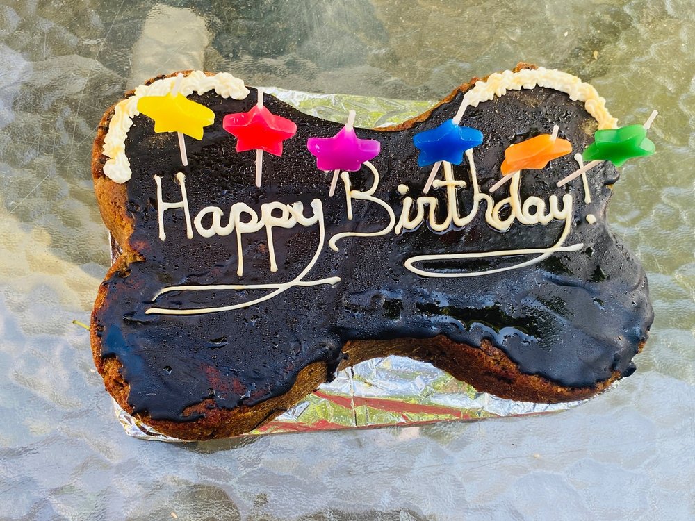 MAESTROS DOG HAUS Updated June 2024 40 Photos & 22 Reviews 310 W