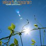 Photo of StartOrganic Vegetable Garden Service