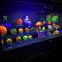 Photo of Fallbrook Gem & Mineral Society
