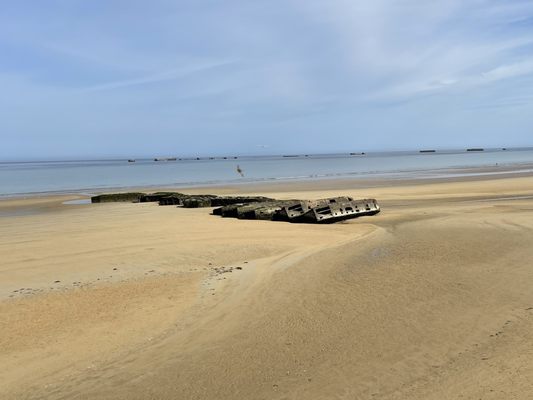 D-Day Museum by null