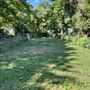 Photo of Rm Tree & Stump Removal