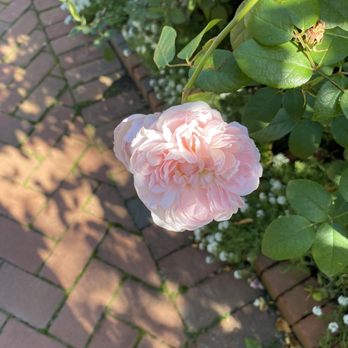 Chicago Botanic Garden - Botanical Gardens Near Me - Glencoe, Illinois