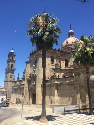 Catedral de Jerez de la Frontera / Colegiata de Nuestro Señor San Salvador by null