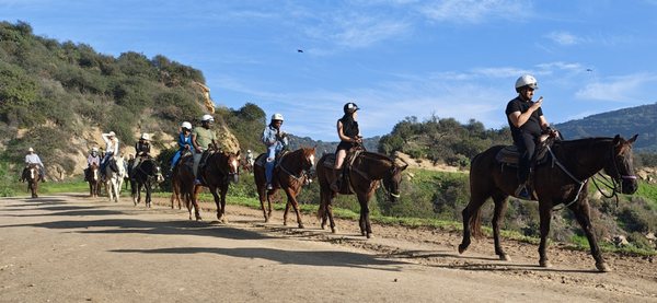 Griffith Park by null