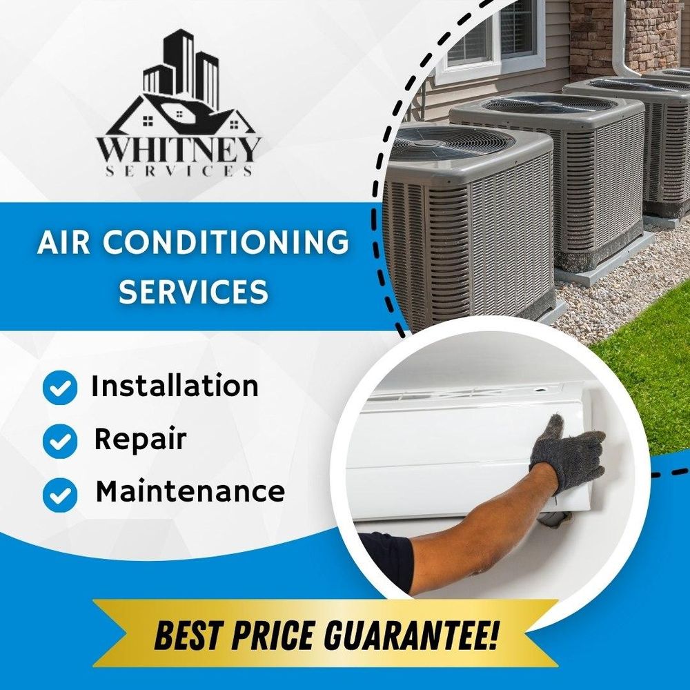 Slide of Whitney Services