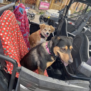 Brian Head Outdoor Adventures - ATV Rentals/Tours Near Me - Brian Head, Utah