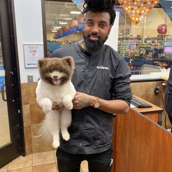 PetSmart - Another amazing groom by Alex!!!!! He is the best!!!! - Pet Stores Near Me - Alexandria, Virginia