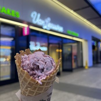 VAN LEEUWEN ICE CREAM - Updated March 2026 - 22 Photos - 1 Penn
