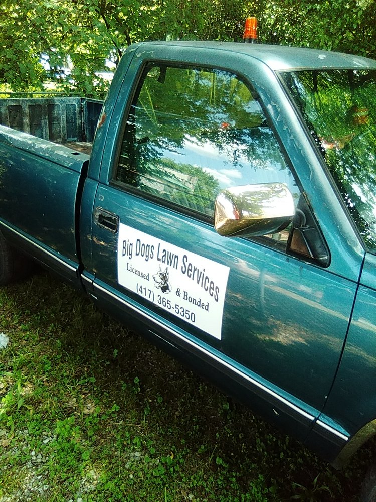 Big Dogs Lawn - tree service in Springfield, MO
