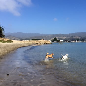 Moss Beach - Paradise for dogs - Beaches Near Me - Moss Beach, California