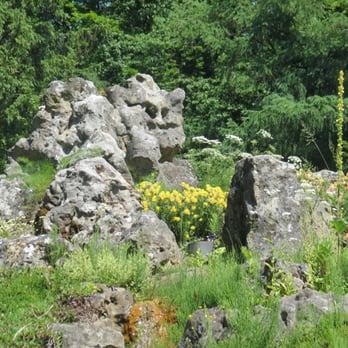 Botanischer Garten und Botanisches Museum - Museums Near Me - Berlin, BE