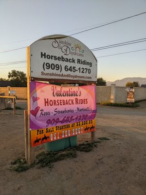 S&D Horseback Riding by null
