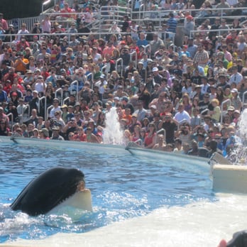 Shamu Show: Believe - Arts & Entertainment Near Me - San Diego, California Shamu Show: Believe - Arts & Entertainment Near Me - San Diego, California
