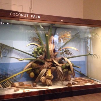 Field Museum - Museums Near Me - Chicago, Illinois Field Museum - Museums Near Me - Chicago, Illinois