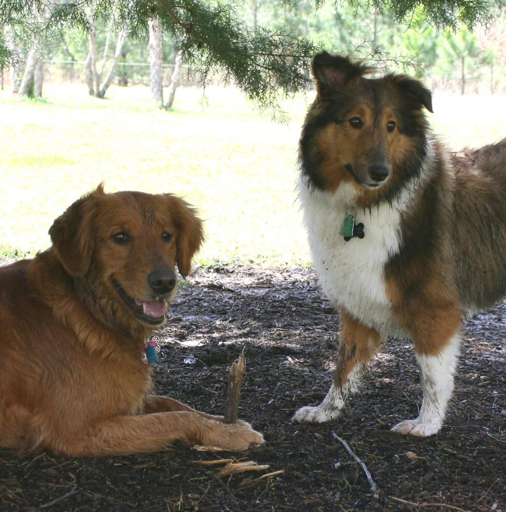 HAHIRA VETERINARY CLINIC Updated August 2024 600 Ga Hwy 122 W